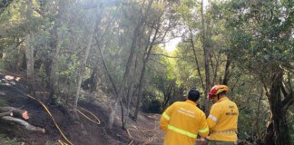 (14:00 h) Continúan las labores de extinción del incendio de Las Creces que está estabilizado desde esta mañana