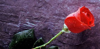 La Agrupación Local del PSOE de San Sebastián lamenta el fallecimiento de su compañero José Jerez Ramos