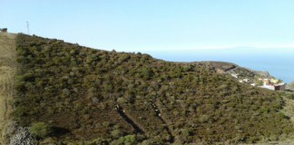 El Cabildo continúa con los trabajos de refuerzo contra incendios en núcleos poblacionales de las medianías