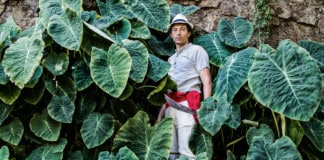 Bertus Dronkers: La fotografía, testigo de paisaje y de la vida