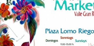 El Ayuntamiento de Valle Gran Rey acuerda la suspensión temporal del mercadillo municipal por «motivos de seguridad»