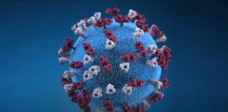 Tenerife y Gran Canaria se mantienen en nivel de alerta 2 con riesgo medio y el resto de islas en nivel 1, de riesgo bajo