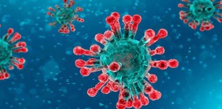 La Gomera sigue libre de COVID-19 y se mantiene con 207 acumulados