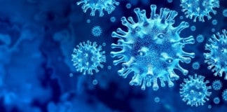 La Gomera cuenta con 36 nuevos positivos más y alcanza los 207 casos activos este viernes