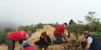 El Cabildo ejecuta trabajos para la conservación del patrimonio arqueológico y natural de La Fortaleza
