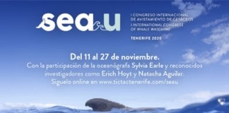 Tenerife será la capital mundial del avistamiento de cetáceos durante los próximos quince días
