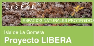 El Cabildo y Proyecto Libera promueven una jornada formativa sobre el impacto de residuos en la naturaleza