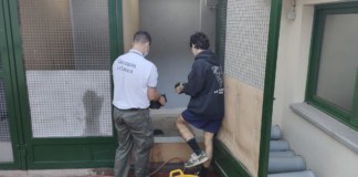 El Cabildo incrementa las medidas de protección con la recogida y traslado de fauna exótica