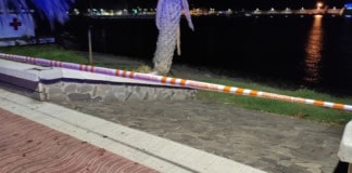 San Sebastián de La Gomera cierra el acceso a la Playa por un incidente con un  tiburón angelote en la orilla