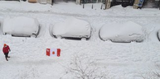 Gomeros en Madrid a mitad del temporal colocan la bandera insular entre la nieve