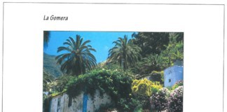 Relato de resiliencia y sostenibilidad