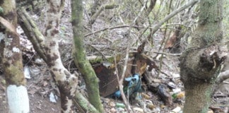 Iniciativa por La Gomera (IxLG) pide la dimisión del Director Ejecutivo de la Agencia Canaria de Protección del Medio Natural