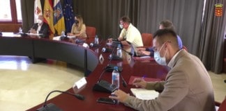 Cabildo y empresarios fijan una estrategia común para que el Estado revierta la subida de tasas portuarias