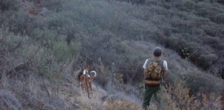 Absueltos padre e hijo acusados de dañar al medio ambiente en La Gomera