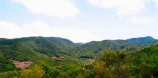 Intervalos nubosos en Canarias este martes