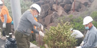 El Cabildo refuerza el control de especies invasoras con trabajos en espacios protegidos de la isla