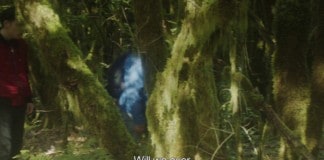 El Silbo Gomero llega al Museo del Louvre