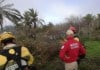 Canarias activa este lunes la campaña contra incendios forestales de 2026: Más de 2.600 efectivos y 19 medios aéreos