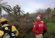 Canarias activa este lunes la campaña contra incendios forestales de 2026: Más de 2.600 efectivos y 19 medios aéreos