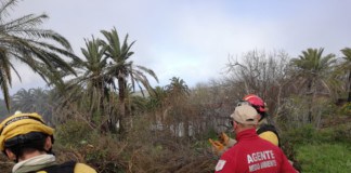 El Cabildo refuerza las actuaciones de prevención contra incendios en las zonas de medianías