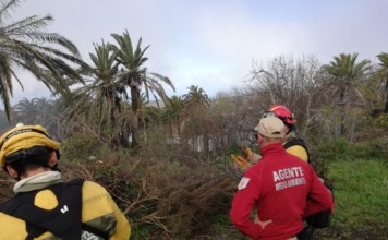 Canarias activa este lunes la campaña contra incendios forestales de 2026: Más de 2.600 efectivos y 19 medios aéreos