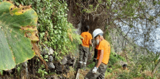 El Cabildo adecúa una decena de nacientes en diferentes puntos de La Gomera