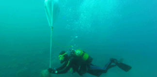 La asociación AGLAYMA sigue trabajando en favor del medioambiente de La Gomera