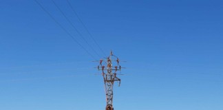 Transición Ecológica y Endesa amplían el convenio de protección de la avifauna a La Gomera, Tenerife y Gran Canaria