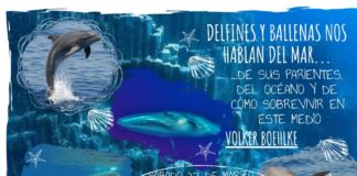 La asociación Procultura organizará una charla sobre cetáceos este próximo sábado