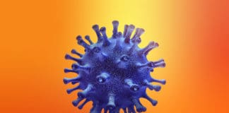 Sanidad comunica 1.899 nuevos casos de COVID-19 en personas de más de 60 años en los tres ultimos días