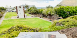 El Cabildo celebrará el Día del Libro con el teatro y la literatura como protagonistas
