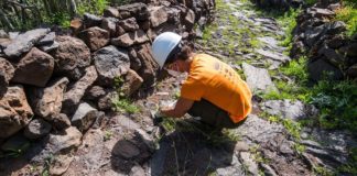El Cabildo ejecuta una decena de actuaciones de mejora en la red de senderos de La Gomera