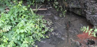 Iniciativa por La Gomera en Vallehermoso solicita solución para la depuración de aguas en Macayo