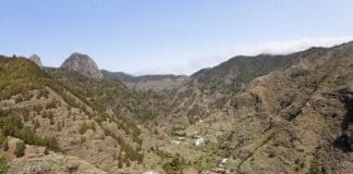 El Cabildo ejecuta trabajos de recuperación forestal y creación de cortafuegos húmedos en La Laja