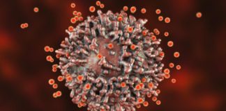 Gran Canaria sube a nivel 3 de alerta y La Palma a nivel 2 ante la evolución de sus indicadores asistenciales