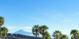 Campeonato de Canarias Juvenil 2021 en Tecina Golf