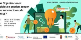 ‘¿Las Organizaciones Sociales se pueden acoger a las Subvenciones de PYMES?’, jornadas en Valle Gran Rey