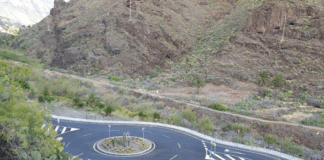 Iniciativa por La Gomera reclama del gobierno en el Cabildo mayor coherencia en sus ajardinamientos públicos