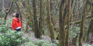 La prensa alemana elige La Gomera como destino turístico preferente