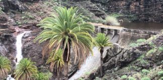 El Consejo Insular de Aguas abre el plazo para financiar proyectos de las comunidades de regantes