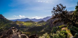 La Gomera se integra en el Corredor Biológico Mundial