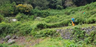 El Cabildo refuerza la recuperación de infraestructuras públicas agrícolas de La Gomera