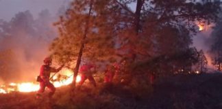 Protección Civil y Emergencias alerta por altas temperaturas y riesgo de incendios forestales en las Islas Canarias