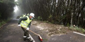 El Cabildo inicia los trabajos para la retirada de material combustible en los márgenes de la GM-2