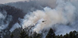 Alerta máxima por riesgo de incendios en Canarias