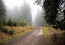 Lluvias al norte de las islas y alisios con fuertes rachas