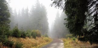 Posibles lluvias débiles este martes en Canarias