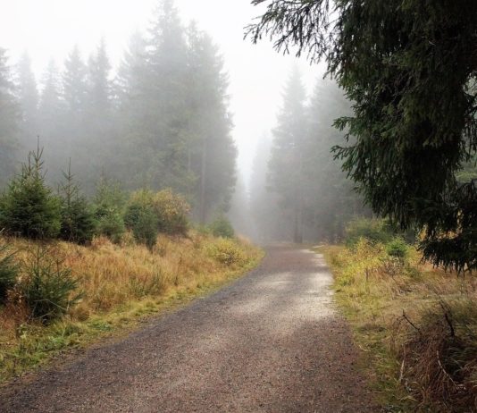 Lluvias al norte de las islas y alisios con fuertes rachas