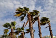 El Cabildo desactiva el Plan de Emergencias Insular