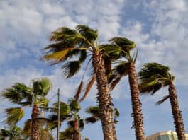Viento fuerte en Canarias con cielos nubosos en el norte de las islas montañosas este sábado